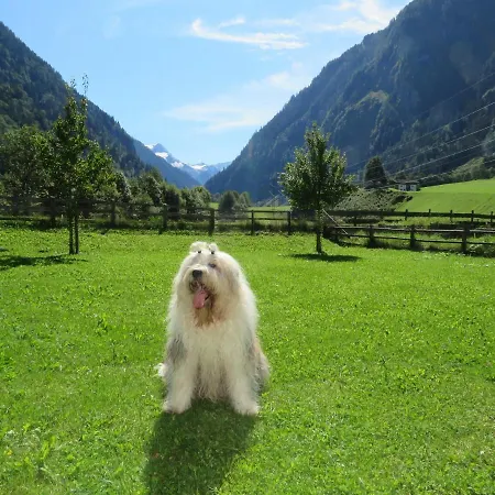 Alpenhaus Denver Apartman *