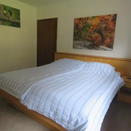 Alpenhaus Denver 公寓 *