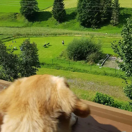 Apartman Alpenhaus Denver *